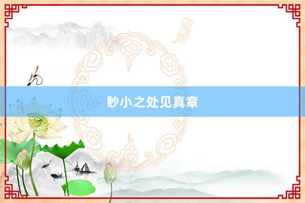 眇小之处见真章